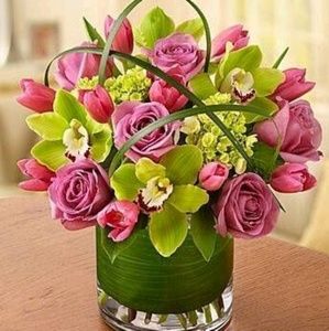 Meet your Posher, Elsie